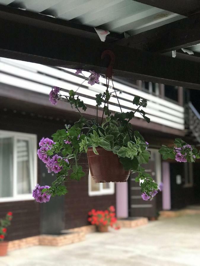 Барнаба Gagra Eksteriør billede
